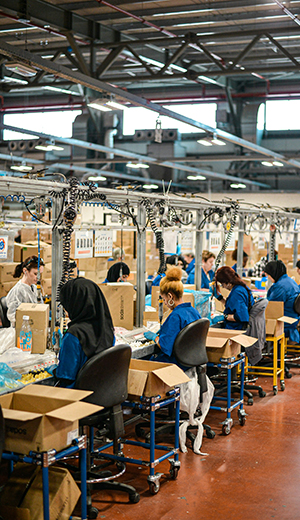 Industrial SAP